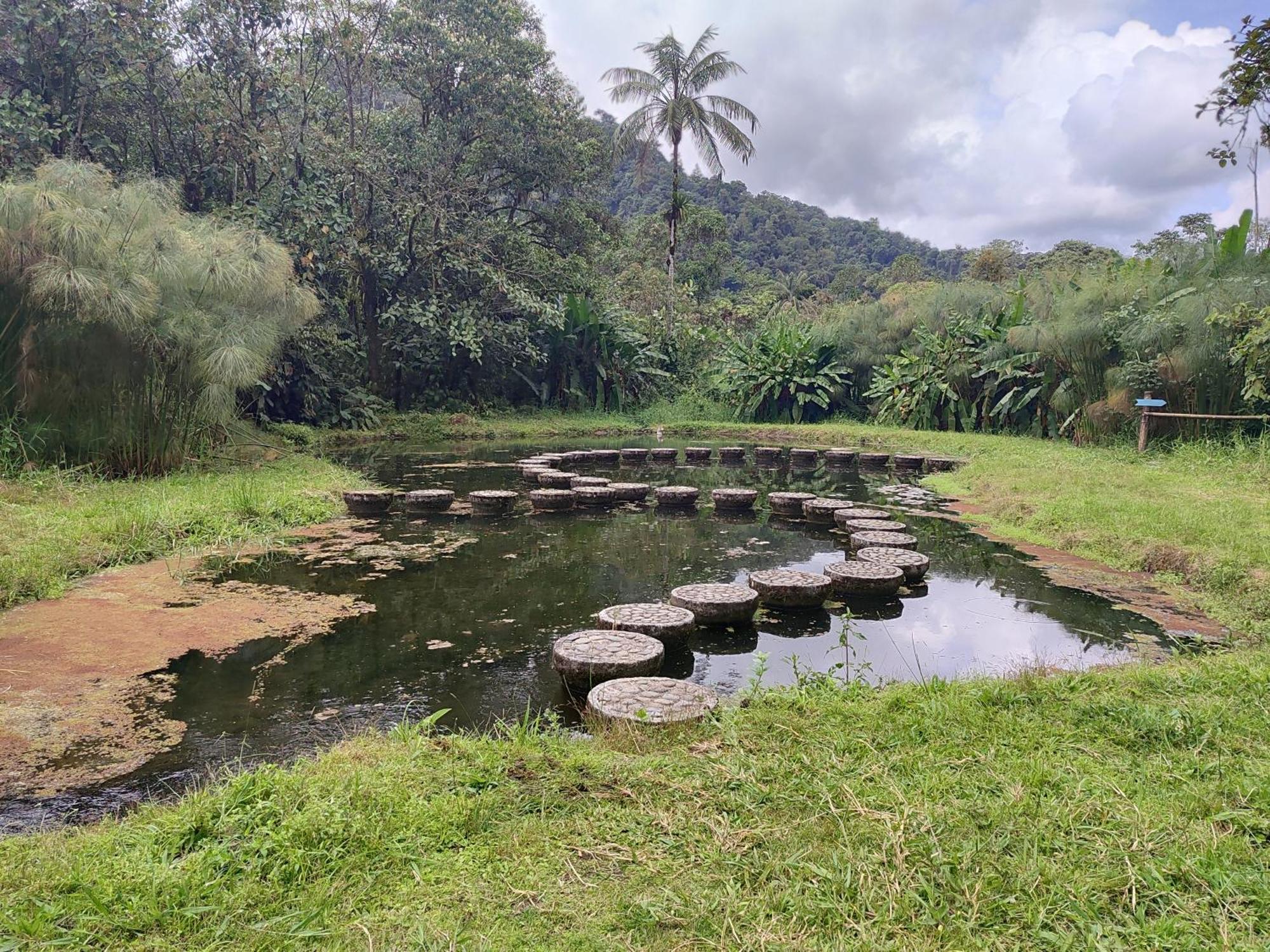 Mindo Garden Lodge And Wildlife Reserve מראה חיצוני תמונה