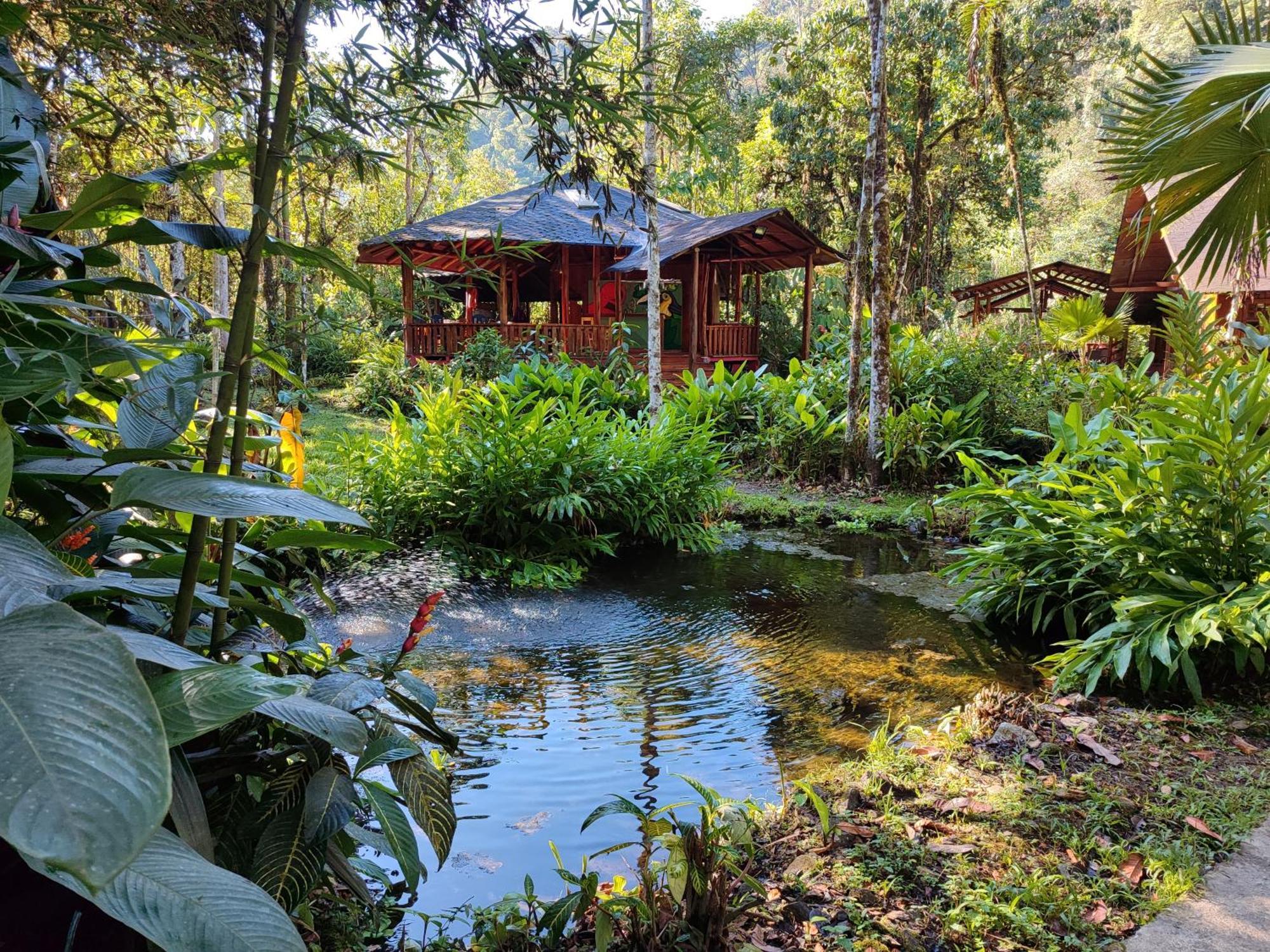 Mindo Garden Lodge And Wildlife Reserve מראה חיצוני תמונה